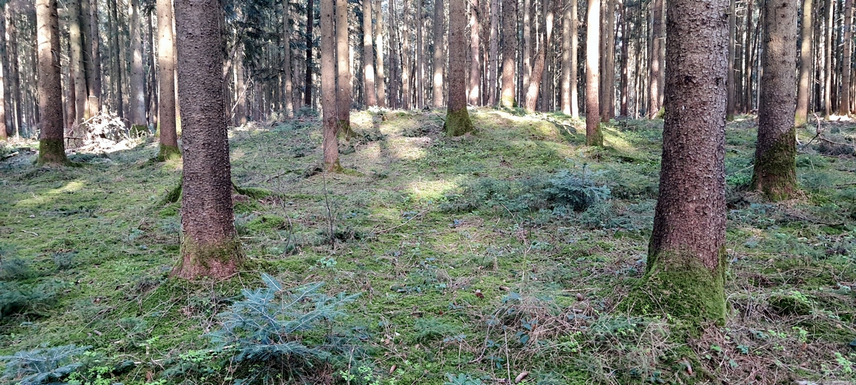 H&uuml;gelgrab