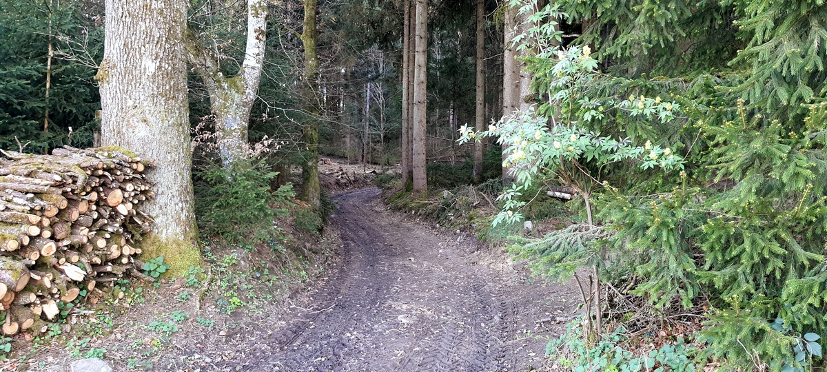 R&ouml;merweg